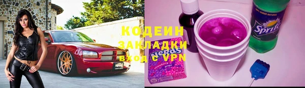 трава Бородино