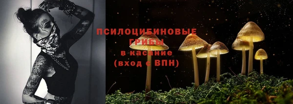 ГАЛЛЮЦИНОГЕННЫЕ ГРИБЫ Богданович