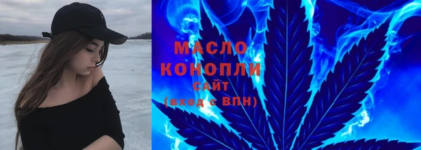молекула духа Богородицк