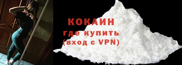 молекула духа Богородицк