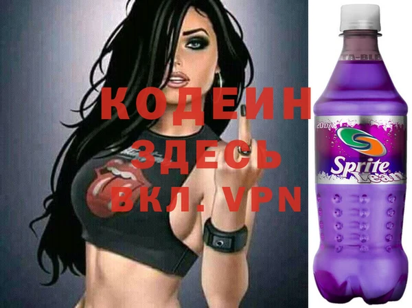молекула духа Богородицк