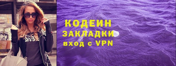молекула духа Богородицк