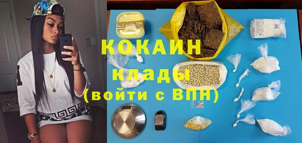 трава Бородино