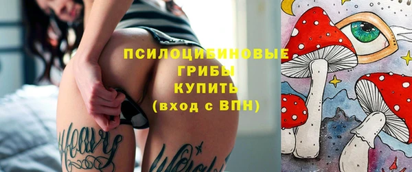 трава Бородино