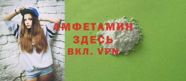 ГАЛЛЮЦИНОГЕННЫЕ ГРИБЫ Богданович