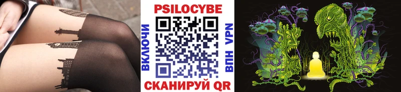 цены   Суворов  Псилоцибиновые грибы MAGIC MUSHROOMS 